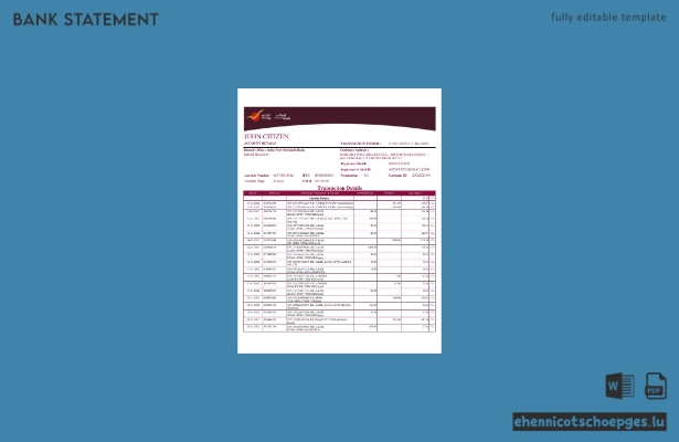 Kontoauszug von India Post Payments (Word-Format, 1 Seite), Beispielvorschau